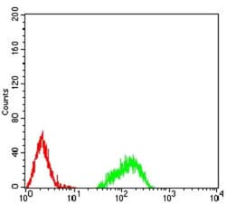 H4/n Antibody (7A2E10) - BSA Free, Novus Biologicals 0.1mg; Unlabeled:Antibodies,